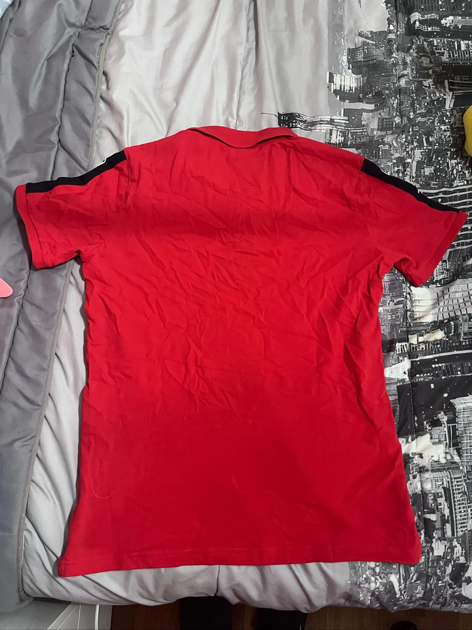 POLO – photo 4